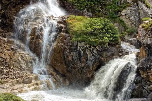Ricercatori UniTo tra i finalisti del premio “Luisa Minazzi – Ambientalista dell’anno”
