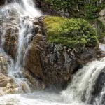 Ricercatori UniTo tra i finalisti del premio “Luisa Minazzi – Ambientalista dell’anno”