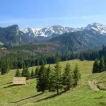 ALTISSIME 2025: Torino riscopre il valore delle terre alte