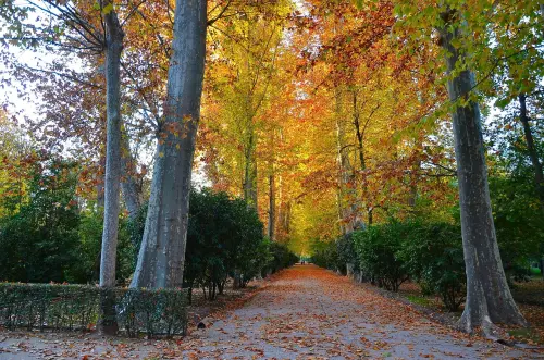 DOMANI TORINO DEDICA UN GIARDINO AD ADA ROSSI