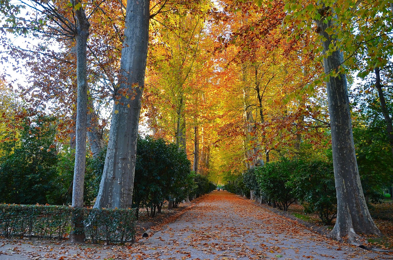 DOMANI TORINO DEDICA UN GIARDINO AD ADA ROSSI