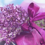 Giornata internazionale contro la violenza sulle donne: UniTo rilancia la sua rete di servizi, formazione e ricerca