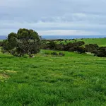 Madonna di Campagna: trasformazione urbana con nuovo edificio commerciale e spazi verdi