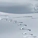 Abbondanti nevicate in montagna: rischio valanghe elevato alle alte quote