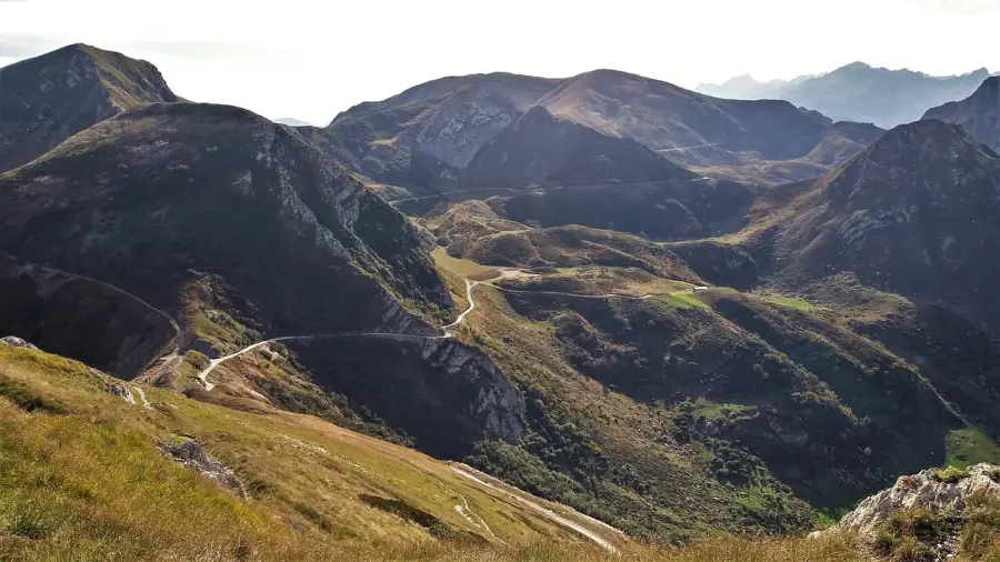 Record di domande per il recupero dei terrazzamenti alpini in Piemonte