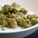 Torino, hashish e cocaina in un autolavaggio: arrestato un 31enne dalla Polizia di Stato