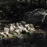 Chisola, sostanze oleose nel torrente: Arpa Piemonte prosegue i controlli e conferma un lento miglioramento