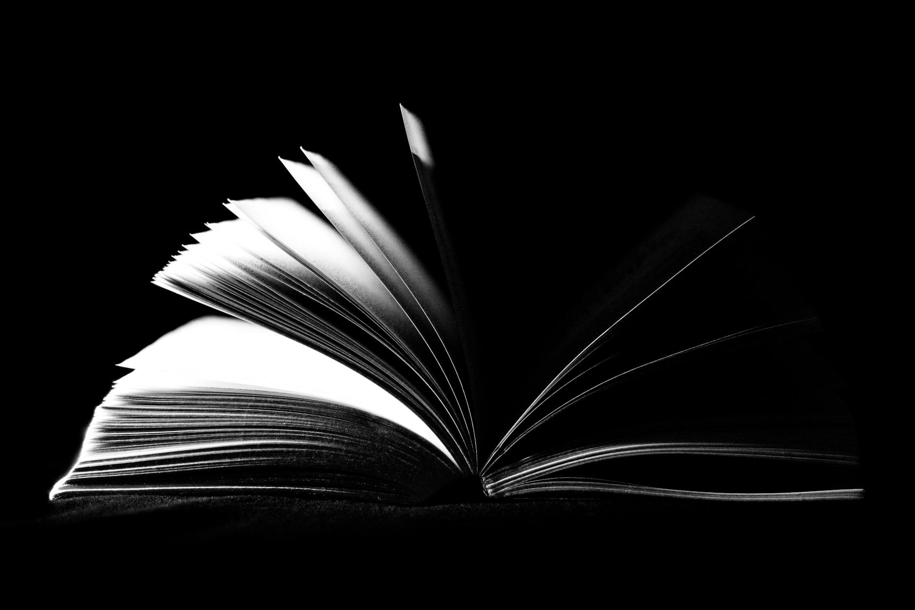 Torino, annullata la presentazione del libro di Parsi