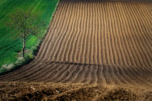 Piemonte, 73 mila euro per alloggi ai lavoratori agricoli
