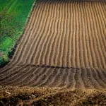 Piemonte, 73 mila euro per alloggi ai lavoratori agricoli