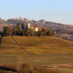 Torino apre le porte a tre studenti palestinesi: l’Ateneo protagonista del progetto IUPALS