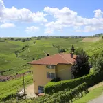 Nasce a Torino la Consulta comunale per lo Sport: un patto di città tra atleti, associazioni e istituzioni