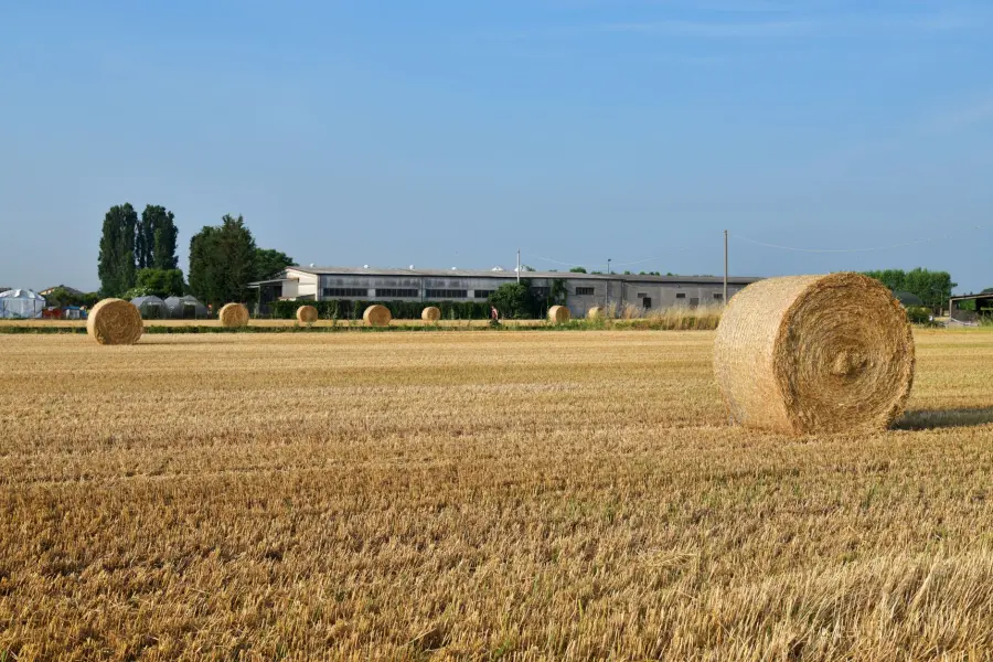 Piemonte, controlli Spresal sul lavoro stagionale agricolo