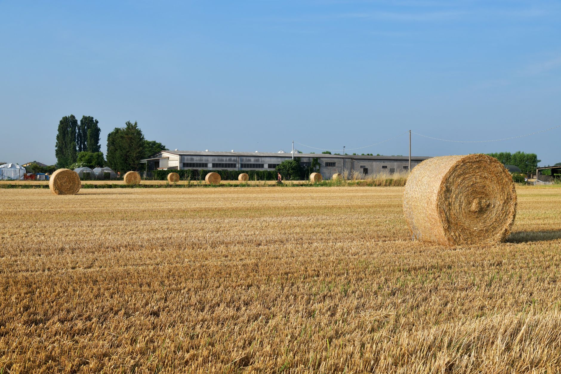 Piemonte, controlli Spresal sul lavoro stagionale agricolo