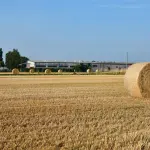 Piemonte, controlli Spresal sul lavoro stagionale agricolo