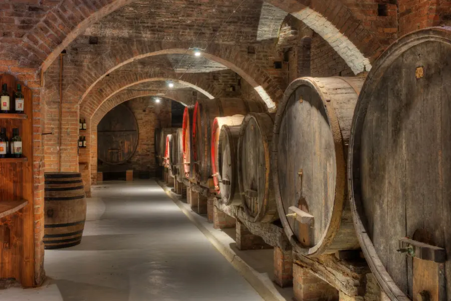 Vini del Monferrato: vitigni e cantine da visitare