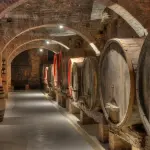 Vini del Monferrato: vitigni e cantine da visitare