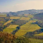 NanoMuG, la biotech torinese che trasforma il muco in tecnologia: vince la Start Cup Piemonte Valle d’Aosta 2025