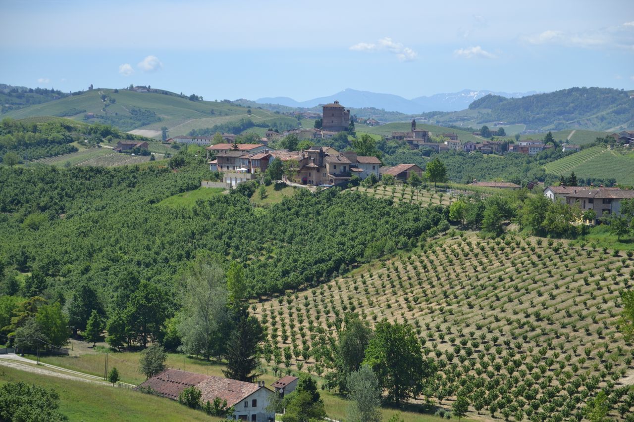 Piemonte, estate 2026 da record: la più calda dal 1958
