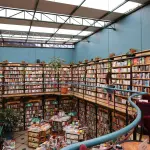 Torino, apre il 14 ottobre la Biblioteca Umberto Eco: 60mila volumi